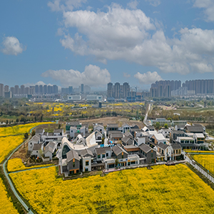 綠動(dòng)合肥 無(wú)廢友約 2025合肥市“國(guó)際無(wú)廢日”主題活動(dòng)